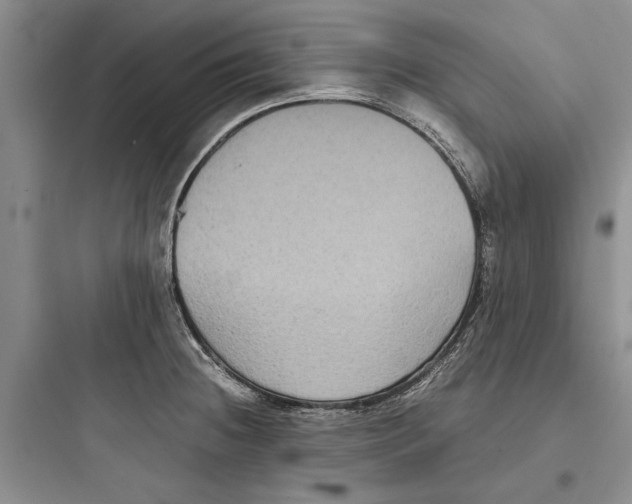 X0000097661236200803211912