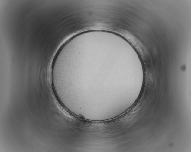 X0000097661238200803211912