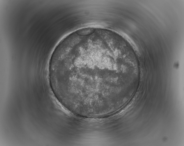 X0000097661240200803211912