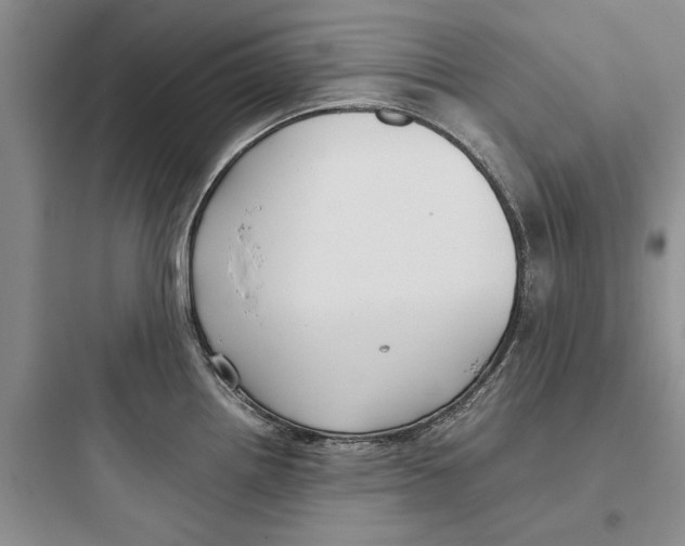 X0000097661242200803211912