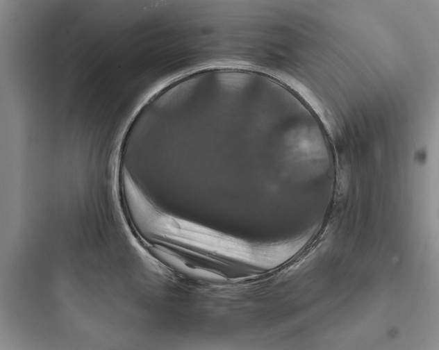X0000097661245200803211912