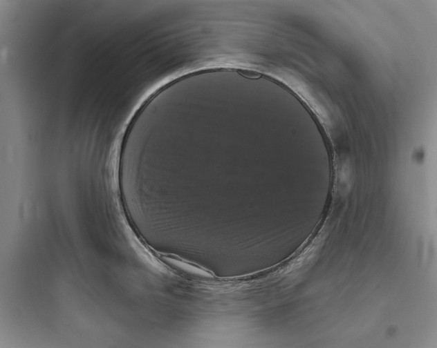 X0000097661246200803211912