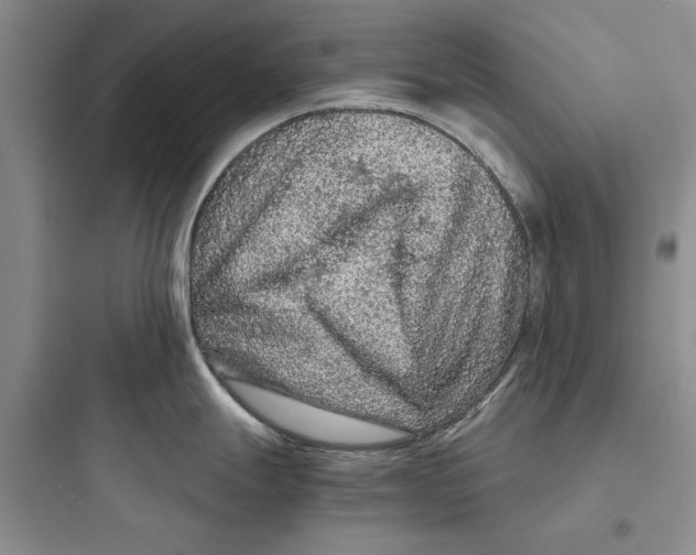X0000097661247200803211912