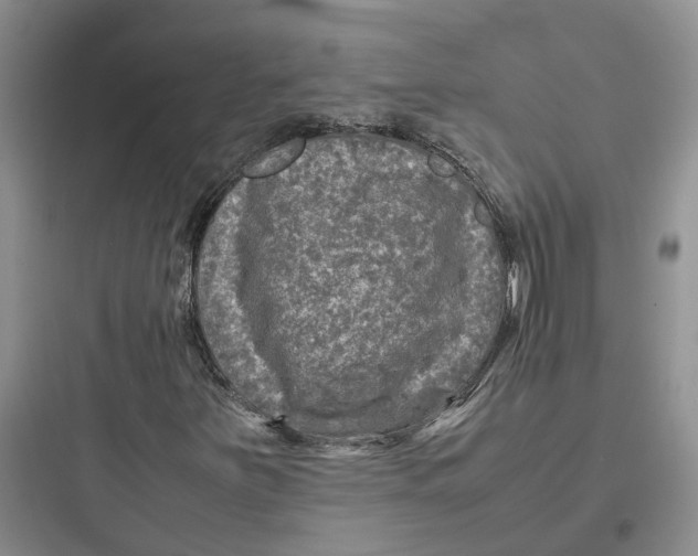 X0000097661251200803211911