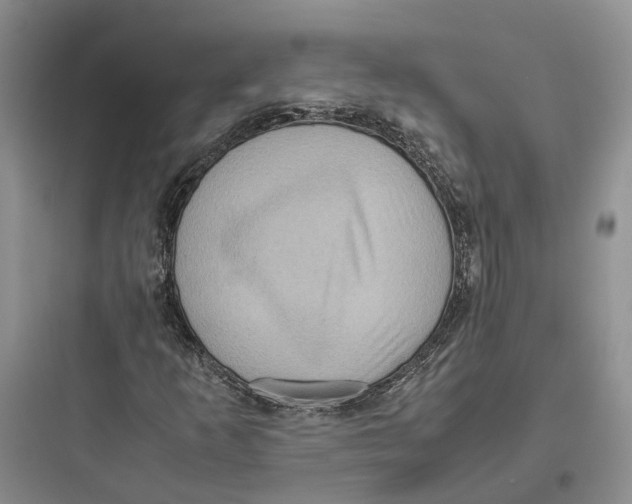 X0000097661253200803211911