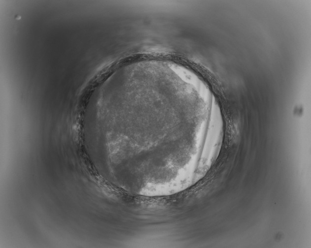 X0000097661254200803211911