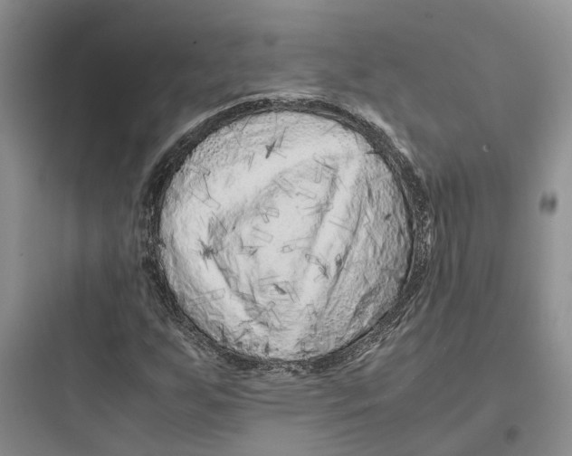 X0000097661255200803211911