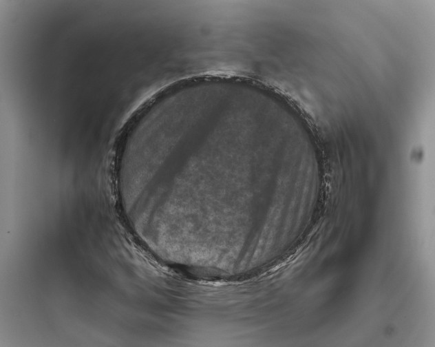 X0000097661256200803211911