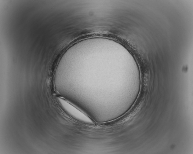 X0000097661257200803211911