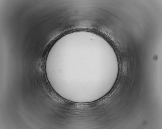 X0000097661258200803211911