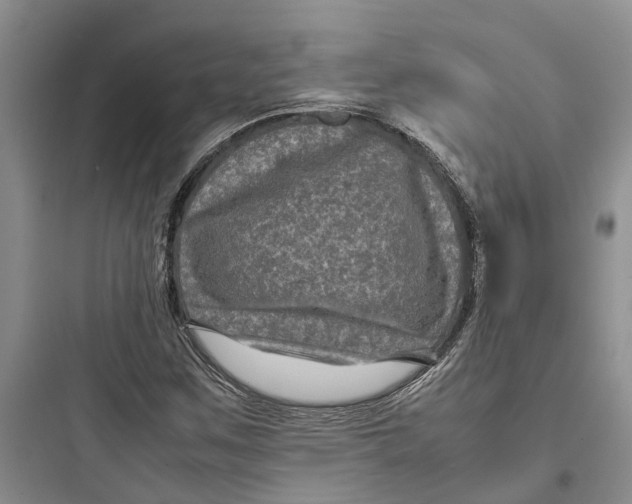 X0000097661259200803211911