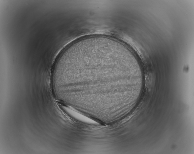 X0000097661260200803211911
