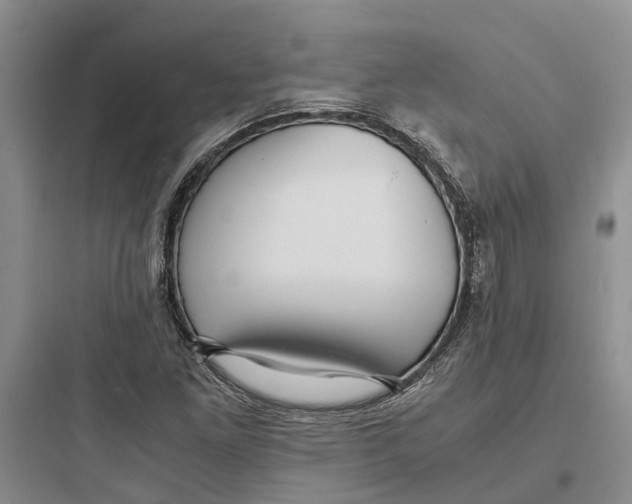 X0000097661261200803211911