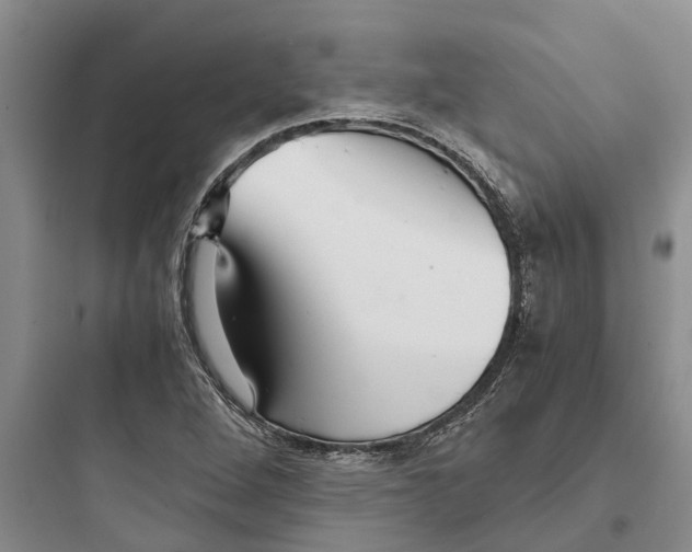 X0000097661264200803211911