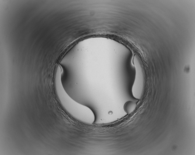 X0000097661265200803211911