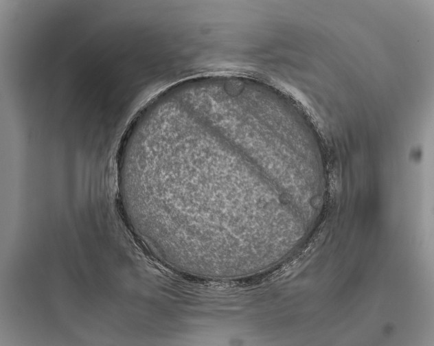 X0000097661267200803211911