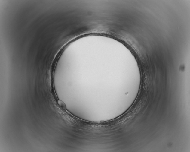 X0000097661268200803211911