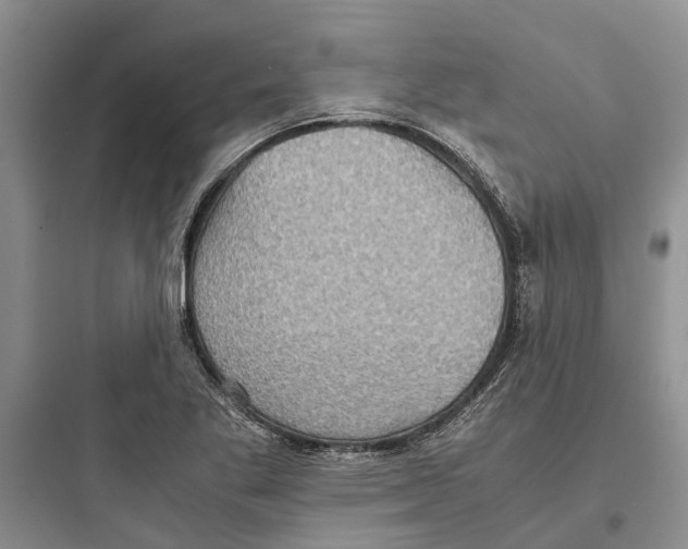 X0000097661269200803211911