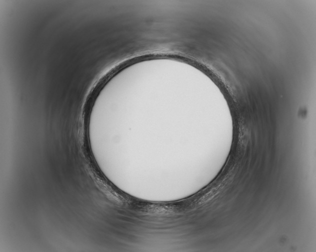X0000097661270200803211911