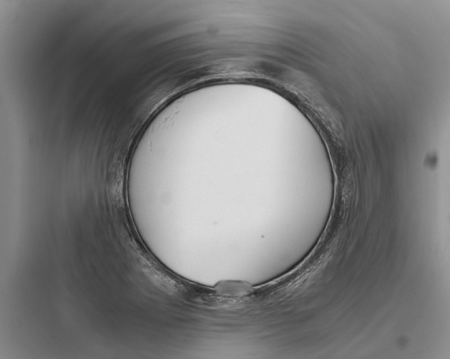 X0000097661273200803211911