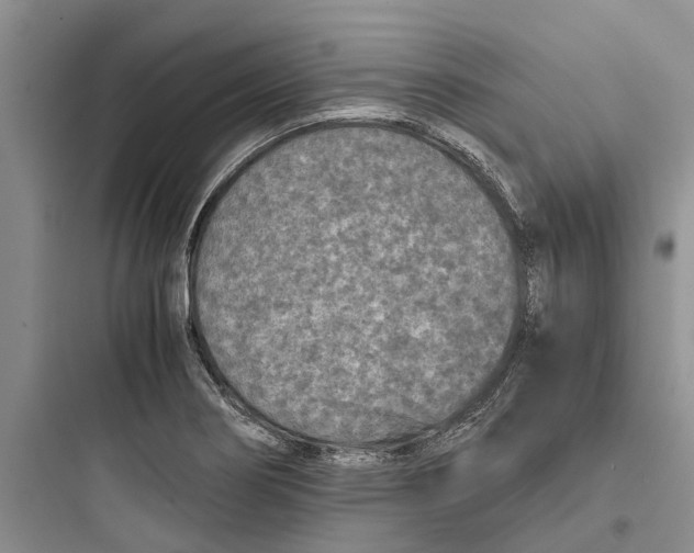 X0000097661274200803211911