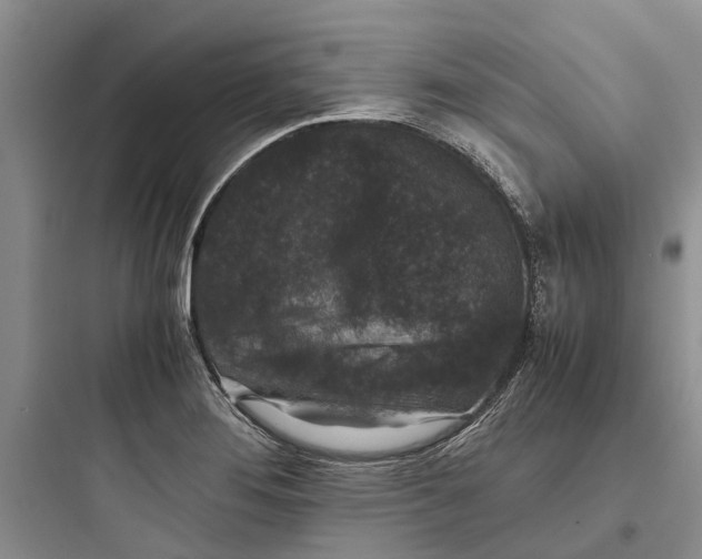 X0000097661276200803211911