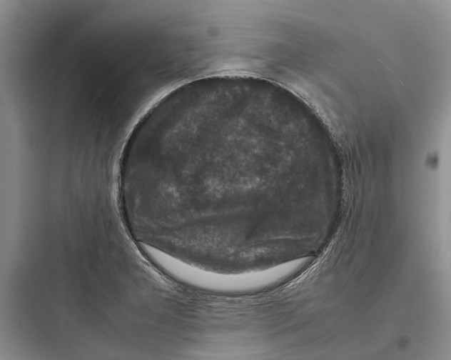 X0000097661277200803211911