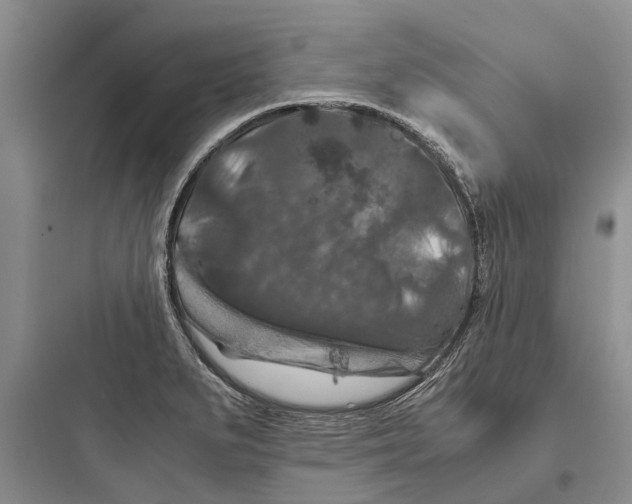 X0000097661279200803211911
