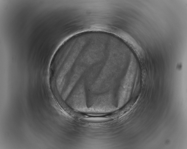 X0000097661280200803211911