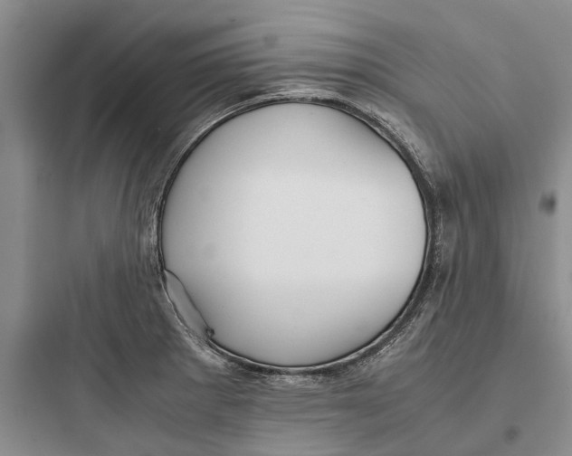 X0000097661281200803211911
