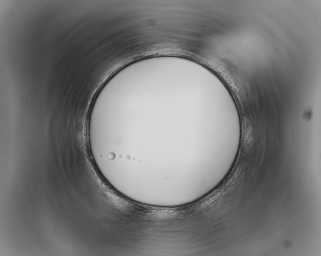 X0000097661282200803211911