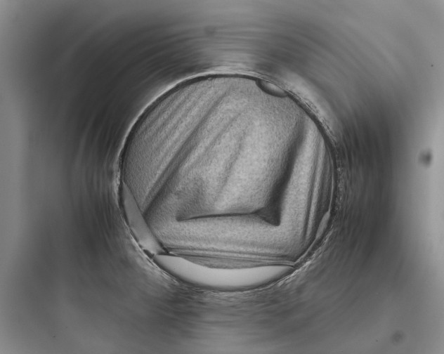 X0000097661284200803211911