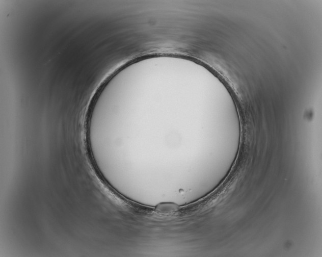X0000097661285200803211911