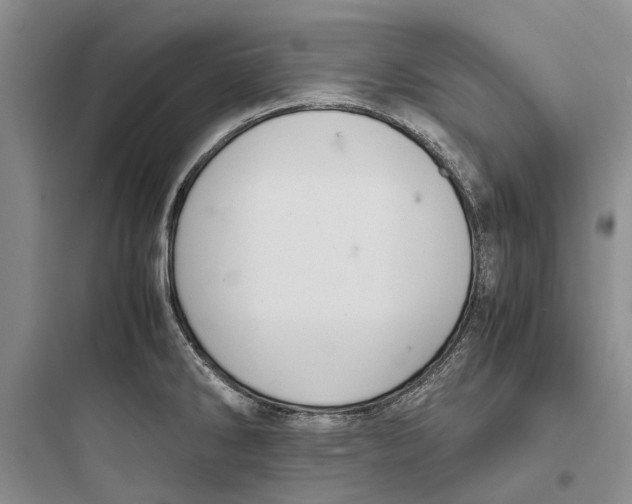 X0000097661286200803211911