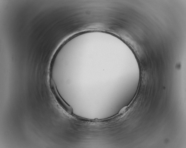 X0000097661288200803211911