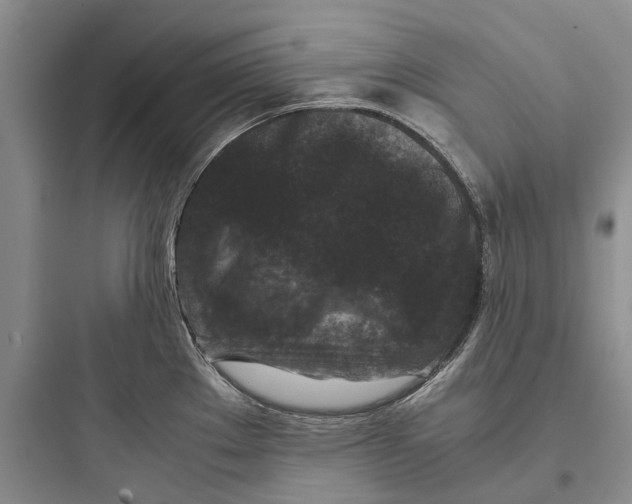 X0000097661289200803211911