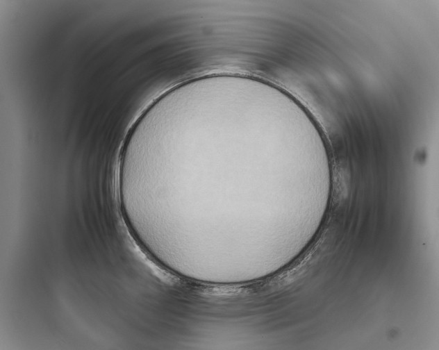 X0000097661290200803211911