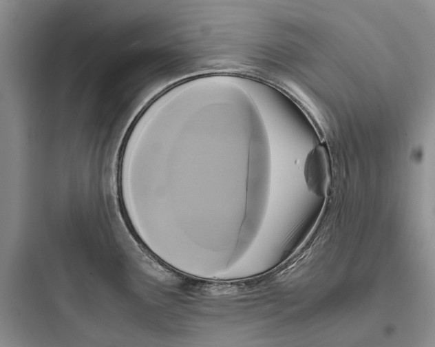 X0000097661291200803211911
