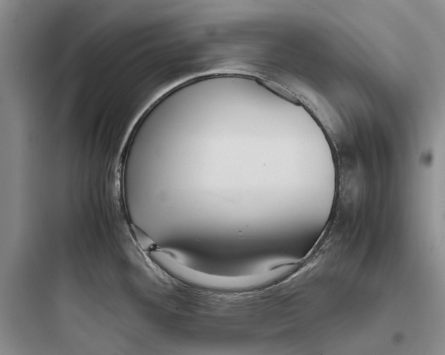 X0000097661292200803211911
