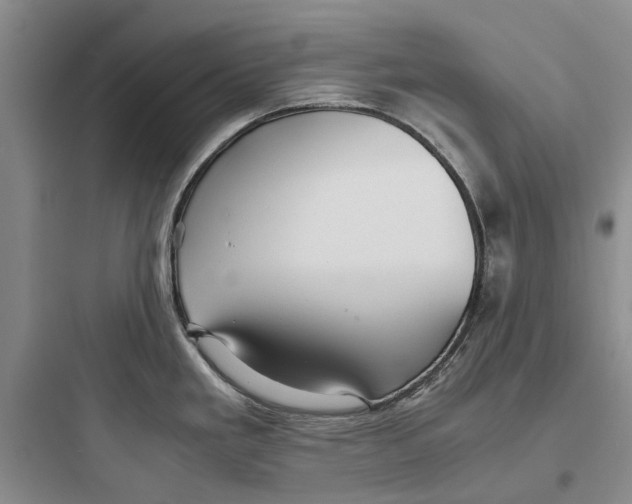 X0000097661293200803211911