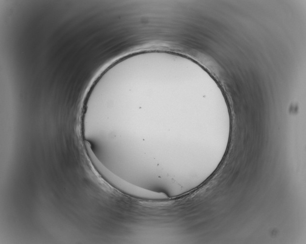 X0000097661296200803211911