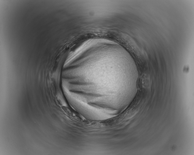 X0000097661298200803211910