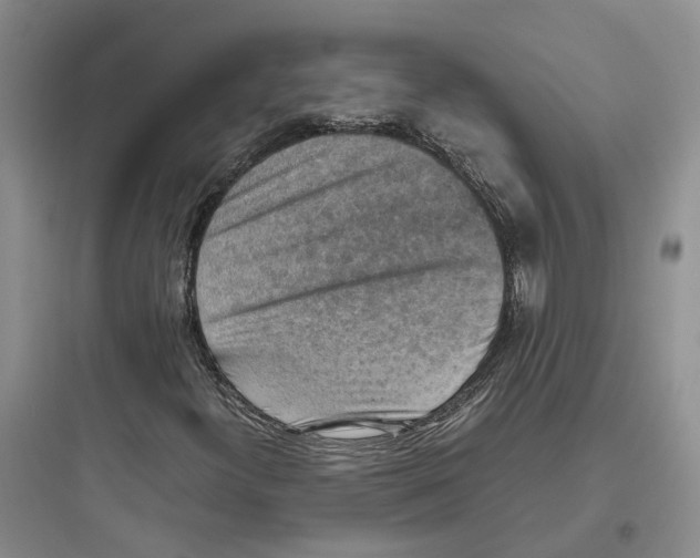 X0000097661300200803211910