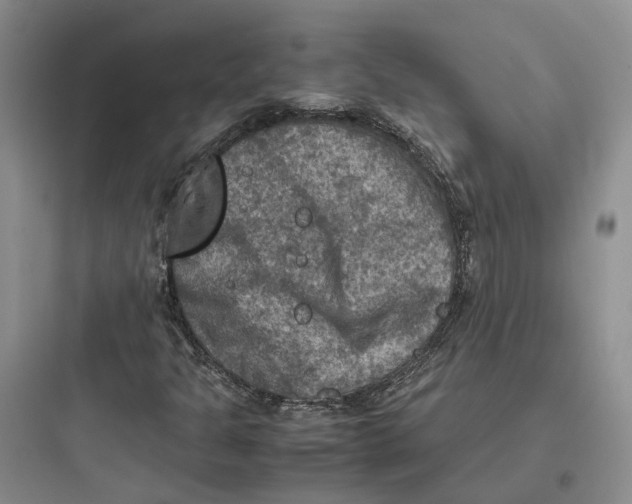 X0000097661301200803211910