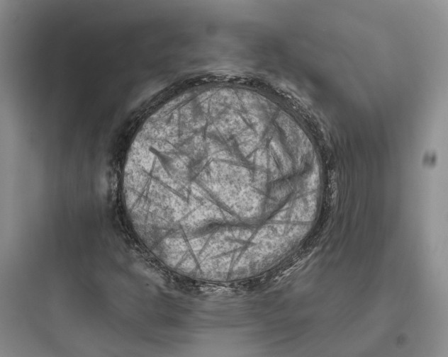 X0000097661302200803211910