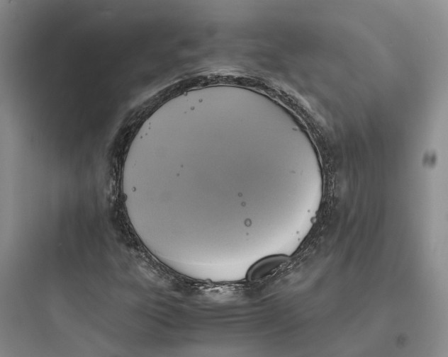 X0000097661303200803211910