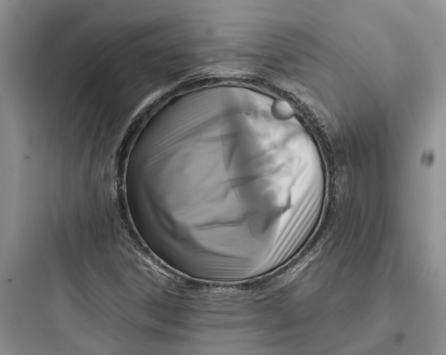 X0000097661306200803211910