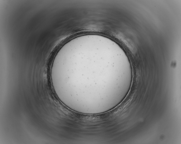 X0000097661307200803211910