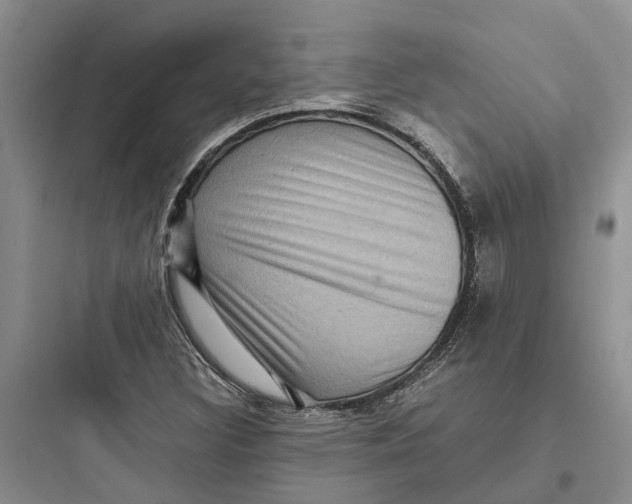 X0000097661308200803211910