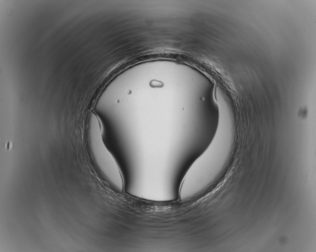 X0000097661313200803211910